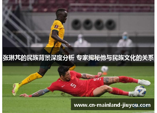 张琳芃的民族背景深度分析 专家揭秘他与民族文化的关系 张琳芃的民族背景深度分析 专家揭秘他与民族文化的关系