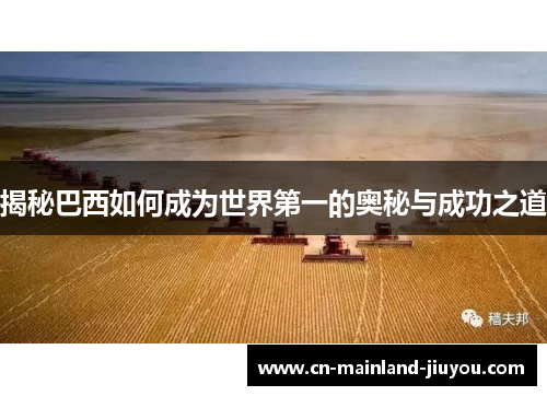 揭秘巴西如何成为世界第一的奥秘与成功之道 揭秘巴西如何成为世界第一的奥秘与成功之道