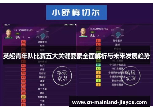 英超青年队比赛五大关键要素全面解析与未来发展趋势