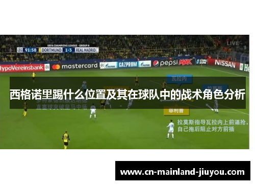 西格诺里踢什么位置及其在球队中的战术角色分析