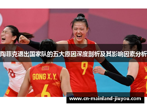 陶菲克退出国家队的五大原因深度剖析及其影响因素分析