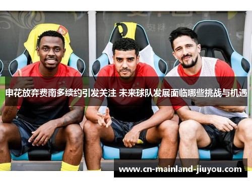 申花放弃费南多续约引发关注 未来球队发展面临哪些挑战与机遇