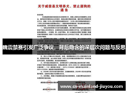 魏震禁赛引发广泛争议,背后隐含的深层次问题与反思 魏震禁赛引发广泛争议,背后隐含的深层次问题与反思